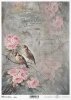 róża, róże, kwiat, ptak, ogród, pastelowe tło, list, ręczne pismo, R978, rose, flower, bird, garden, pastel background, letter, handwriting, Rose, Blume, Vogel, Garten, pastellfarbener Hintergrund, Buchstabe, Handschrift, rosa, flor, pájaro, jardín, fondo